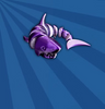 Requin Violette - Anima 3D
