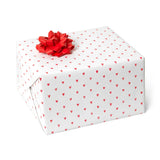 Rouleau de papier cadeau - Wrapping paper (plusieurs modèles)