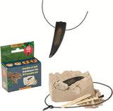 Kit d'excavation - collier dent ou griffe de dino