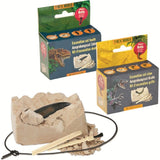 Kit d'excavation - collier dent ou griffe de dino