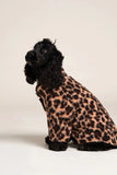 CHARLOT VESTE POLAIRE POUR CHIEN Flotte - New leo