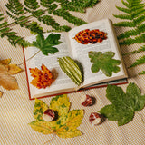 French barrette Feuille