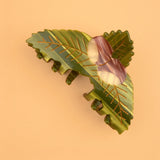 Pince à cheveux Châtaignier - Coucou Suzette