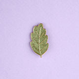 Pin's feuille - Coucou Suzette