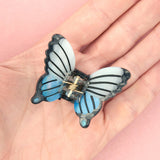 Mini pince Papillon Bleu - Coucou Suzette