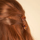 Lot mini pinces à cheveux Oiseaux