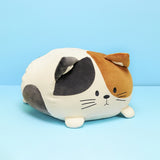 Coussin Kitty multicolore