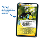 Défis Nature - Insectes