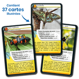 Défis Nature - Insectes