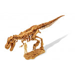 Dino Dig - Dinosaure à déterrer (4 modèles)