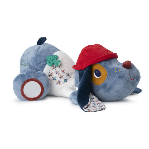 Jules grand chien d'activités