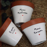 Pot de fleur Merci Maîtresse - Joli Pot