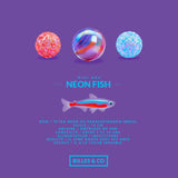 Mini box Neon Fish