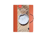 Ma coupelle coquillage  en Jesmonite - DIY Home Déco