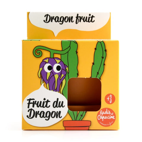 Kit pot terre cuite - Fruit du dragon