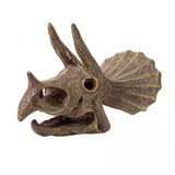 Museum Skull Tricératops