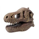 Museum Skull T-rex