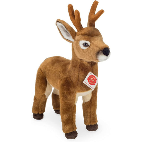 Chevreuil - Brocard 30 cm