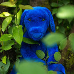 Peluche chien bleu - L'école des loisirs
