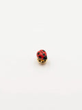 Pin's Coccinelle - Ladybug