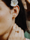 Puces d'oreilles Léopard