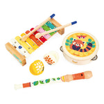 Set musical 4 instruments - Gioia