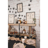 Affiches anatomie humaine - Cabinet de curiosité x2