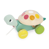 Tortue à promener - Zigolos