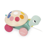 Tortue à promener - Zigolos