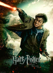 Puzzle 100 p XXL - Le monde fantastique d'Harry Potter