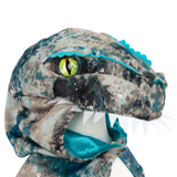Cape Raptor 5/6 ans