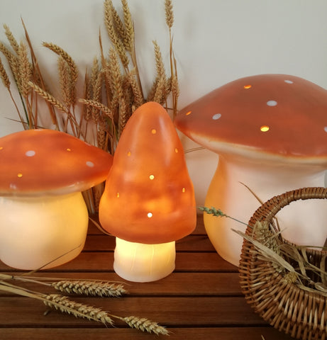 Lampe champignon moyen terra  - Veilleuse