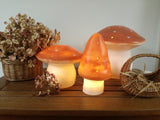 Lampe champignon petit terra