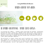 Carte à planter - Ici on cultive le bonheur
