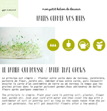 Carte à planter - Il y a des fleurs partout