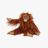 Petit orang-outang - Tout autour du monde
