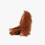 Petit orang-outang - Tout autour du monde