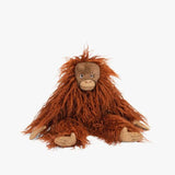 Petit orang-outang - Tout autour du monde