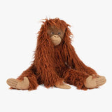 Grand orang-outang - Tout autour du monde