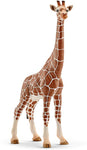 Girafe femelle - Figurine