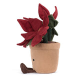 Amuseable poinsettia