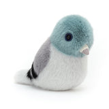 Birdling pigeon