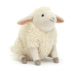 Burly boo sheep - Mouton