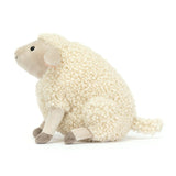 Burly boo sheep - Mouton