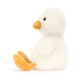 Dory duck - Canard