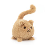 Kitten Caboodle Ginger - Chaton