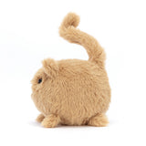 Kitten Caboodle Ginger - Chaton