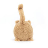 Kitten Caboodle Ginger - Chaton