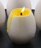 Bougie oeuf coquille blanche intérieur jaune