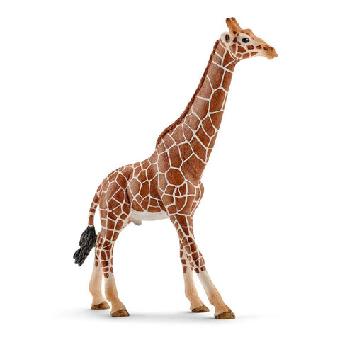Girafe mâle - Figurine